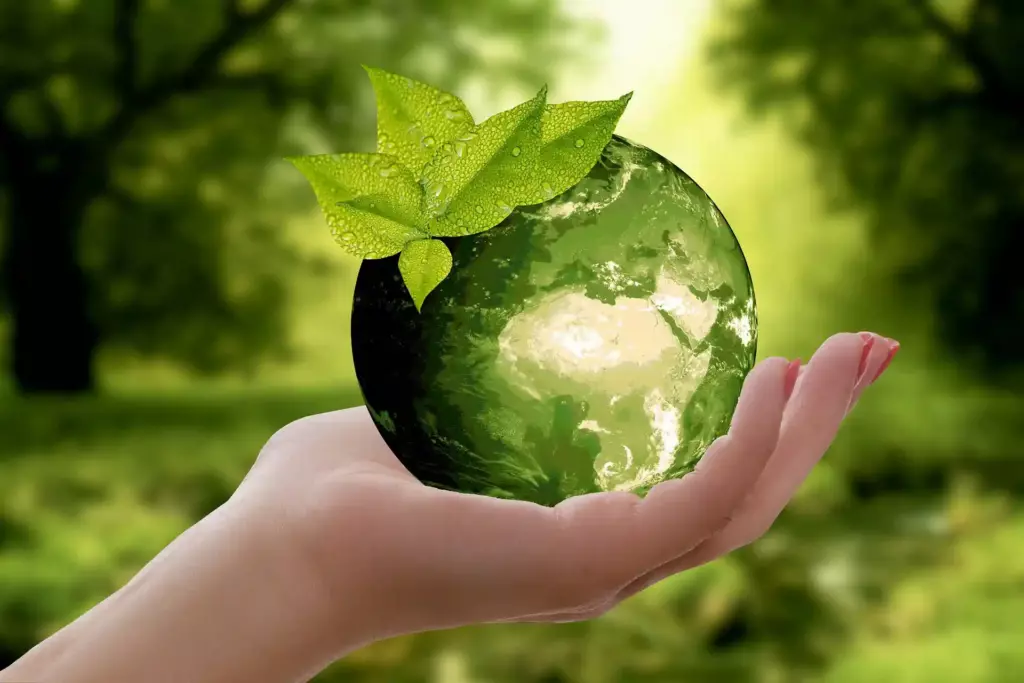 Sustainable M&E engineering solutions in Singapore